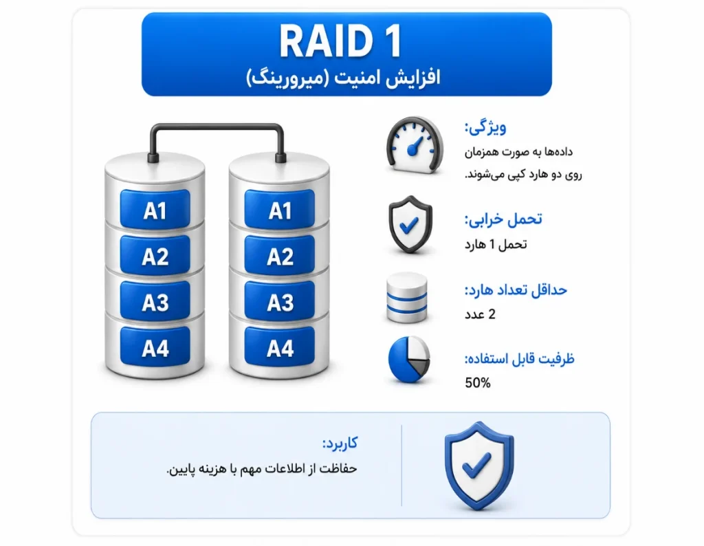 RAID 1