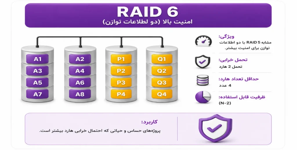RAID 6